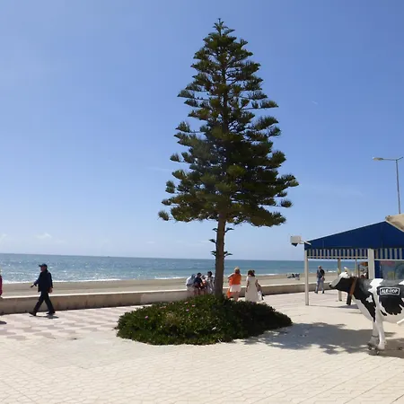 Apartment 1 Bedroom Penthouse On Front Line Of The